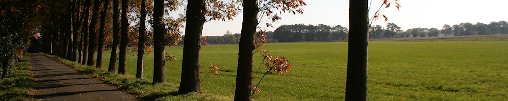 Herfst Rossum